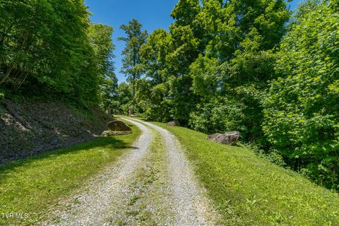 Photo of 3 Ridgetop Lane, Unicoi, TN 37692 (MLS # 9995700)