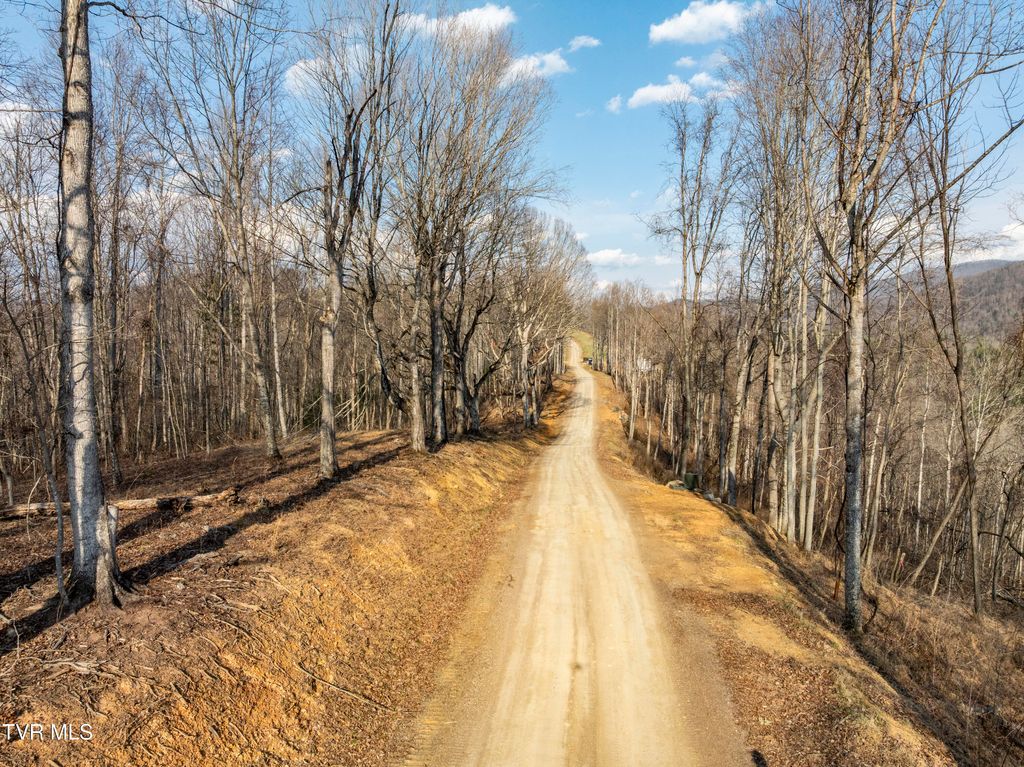 Photo of 52 Summerfield Drive, Butler, TN 37640 (MLS # 9992004)