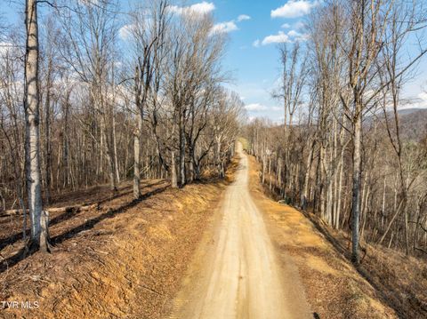 Vacant Land For Sale - LOT 52 Summerfield Drive<br/> Johnson County, Butler, TN 37640