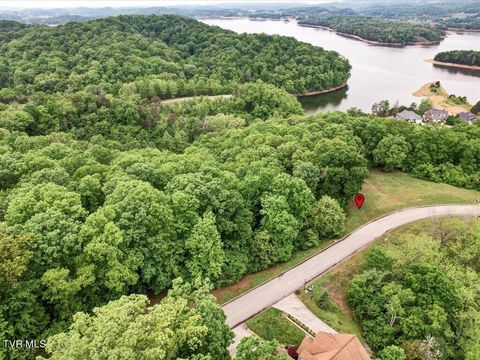 Vacant Land For Sale - 1987 Turners Landing Road<br/> Russellville, TN 37860
