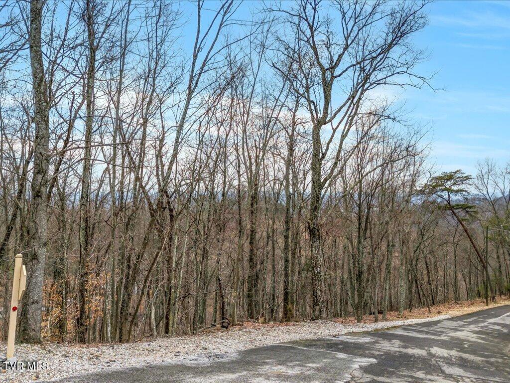 1126 Keetoowah Drive, Mooresburg, Tennessee image 5