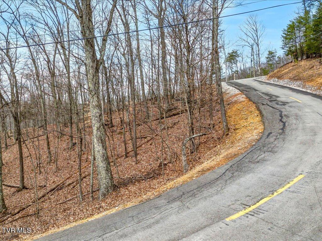 1126 Keetoowah Drive, Mooresburg, Tennessee image 3