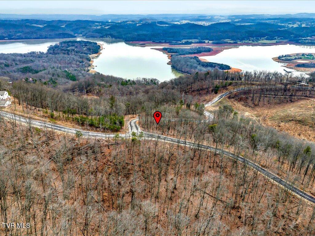 1126 Keetoowah Drive, Mooresburg, Tennessee image 18