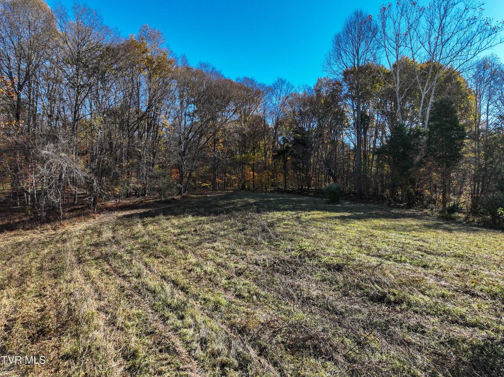 Photo of 297 Bluff Road, Blountville, TN 37617 (MLS # 9988070)