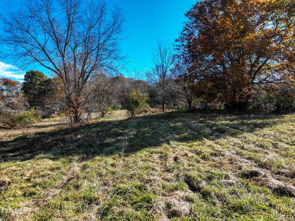 Photo of 297 Bluff Road, Blountville, TN 37617 (MLS # 9988070)