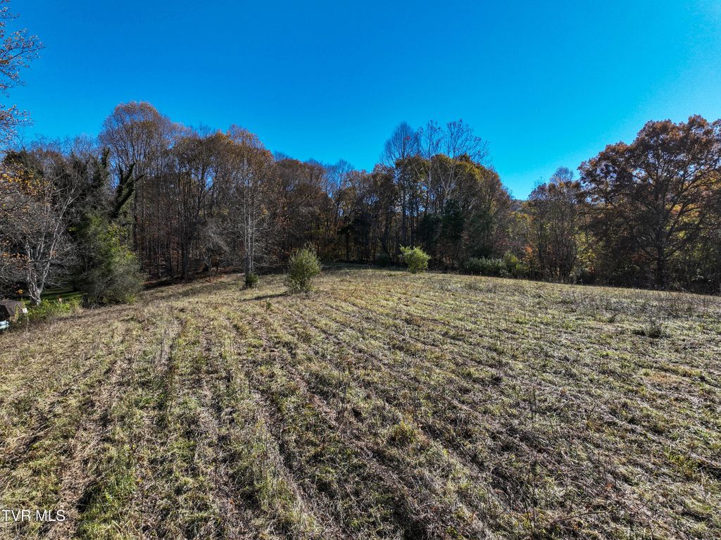 Photo of 297 Bluff Road, Blountville, TN 37617 (MLS # 9988070)