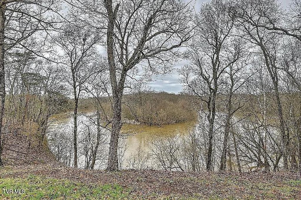 Photo of 7090 Old Asheville Highway, Greeneville, TN 37743 (MLS # 9987704)