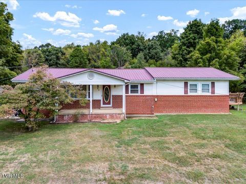 25 Blake Lane, Chuckey, TN 37641 - MLS#: 9971723