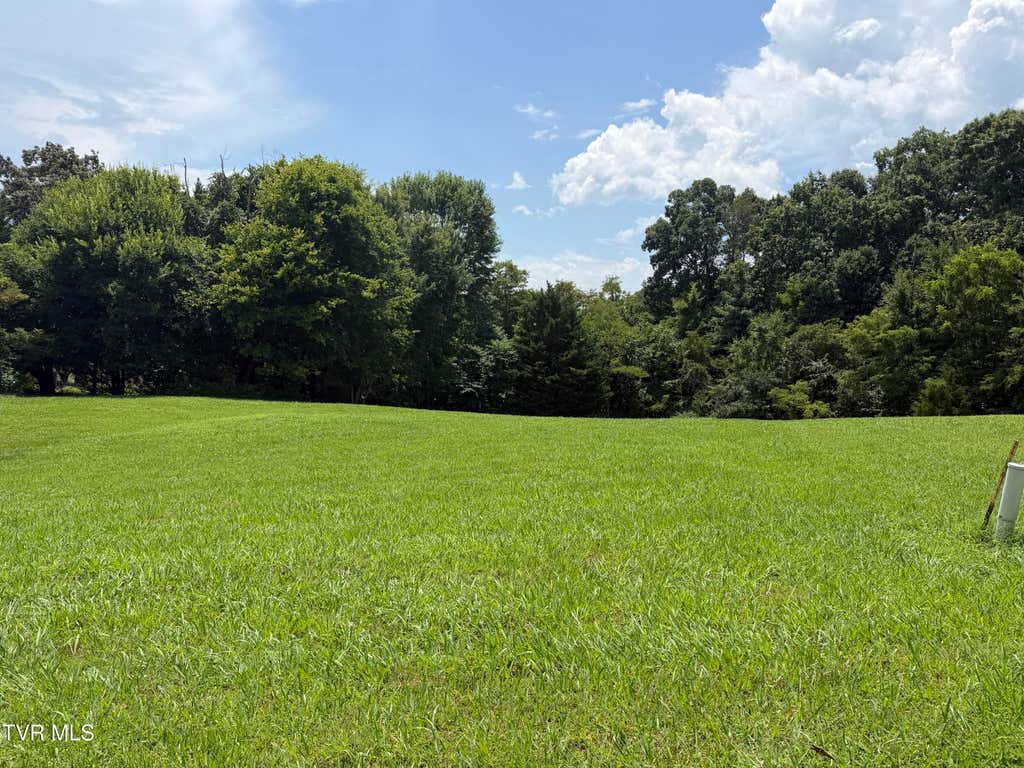 Photo of 178 Harbor View #178, Mooresburg, TN 37811 (MLS # 9998684)