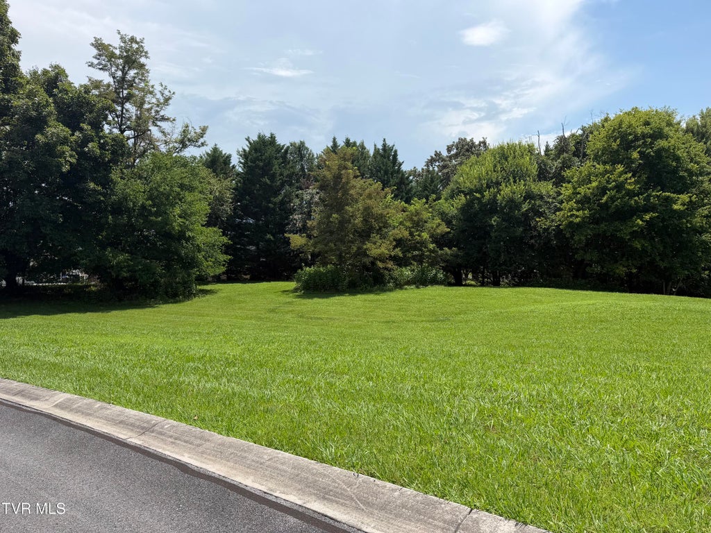 Photo of 178 Harbor View #178, Mooresburg, TN 37811 (MLS # 9998684)