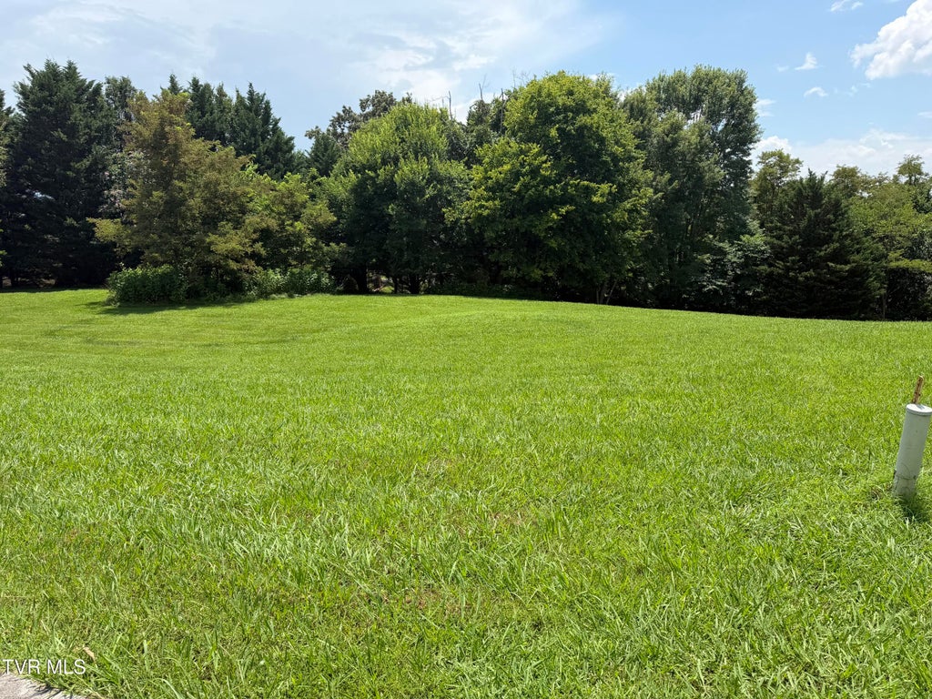 Photo of 178 Harbor View #178, Mooresburg, TN 37811 (MLS # 9998684)