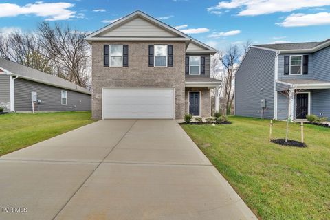 Photo of 1146 Aspen Terrace, Greeneville, TN 37745 (MLS # 9983329)