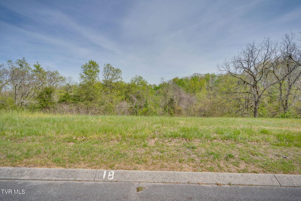 Photo of 1998 Turner Landing Road, Russellville, TN 37860 (MLS # 9993812)