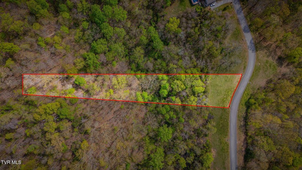 Photo of 1998 Turner Landing Road, Russellville, TN 37860 (MLS # 9993812)
