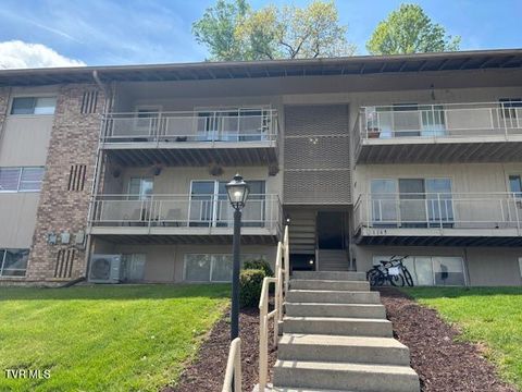 Homes For Sale - 1145 Carriage Circle #APT 104<br/> Bristol, VA 24201