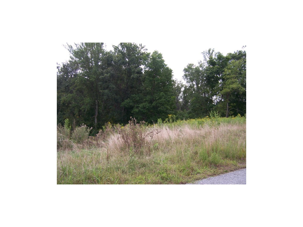 Lake Pointe Drive, Lot 9, Abingdon, Virginia image 1