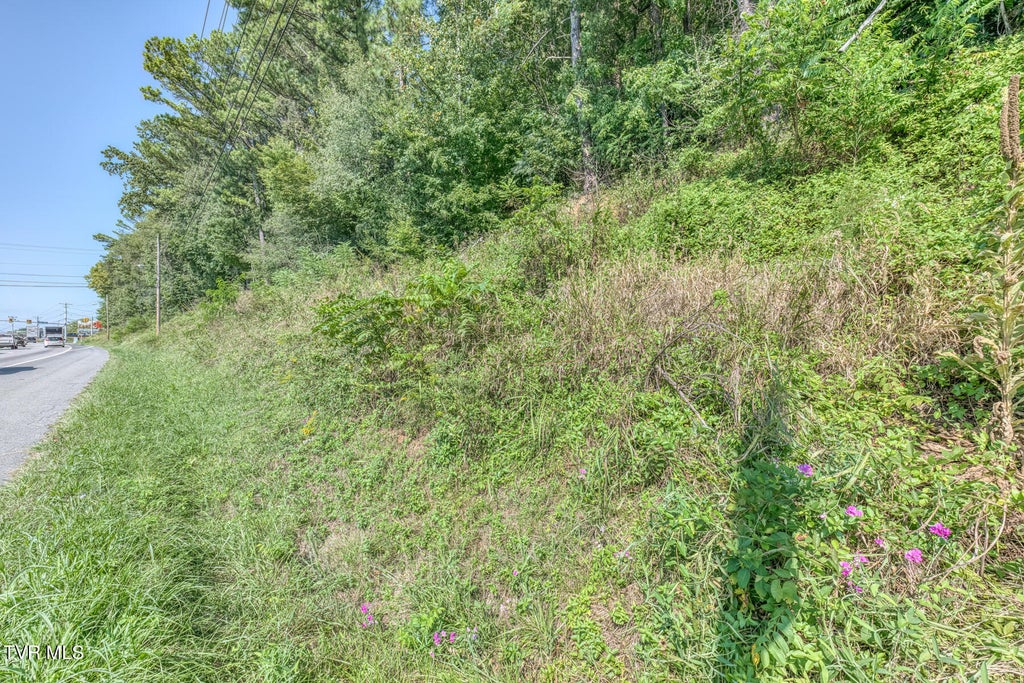 Photo of Tbd Jackson Boulevard, Jonesborough, TN 37659 (MLS # 10000968)
