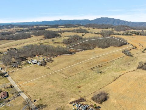 Vacant Land For Sale - LOT 6 Tbd Tennessee 93<br/> Fall Branch, TN 37656