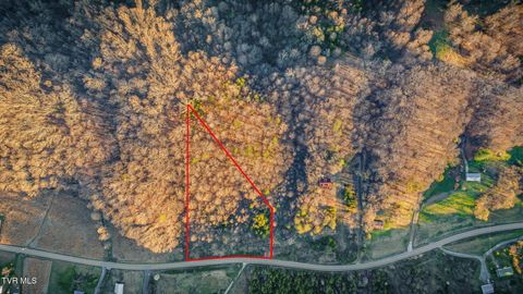 Vacant Land For Sale - 000 Lone Star Road<br/> Kingsport, TN 37660