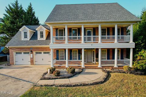 Photo of 133 Magnolia Drive, Greeneville, TN 37743 (MLS # 9990236)