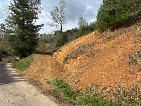 Vacant Land For Sale - 00 Joe Wallace Road<br/> Trade, TN 37691