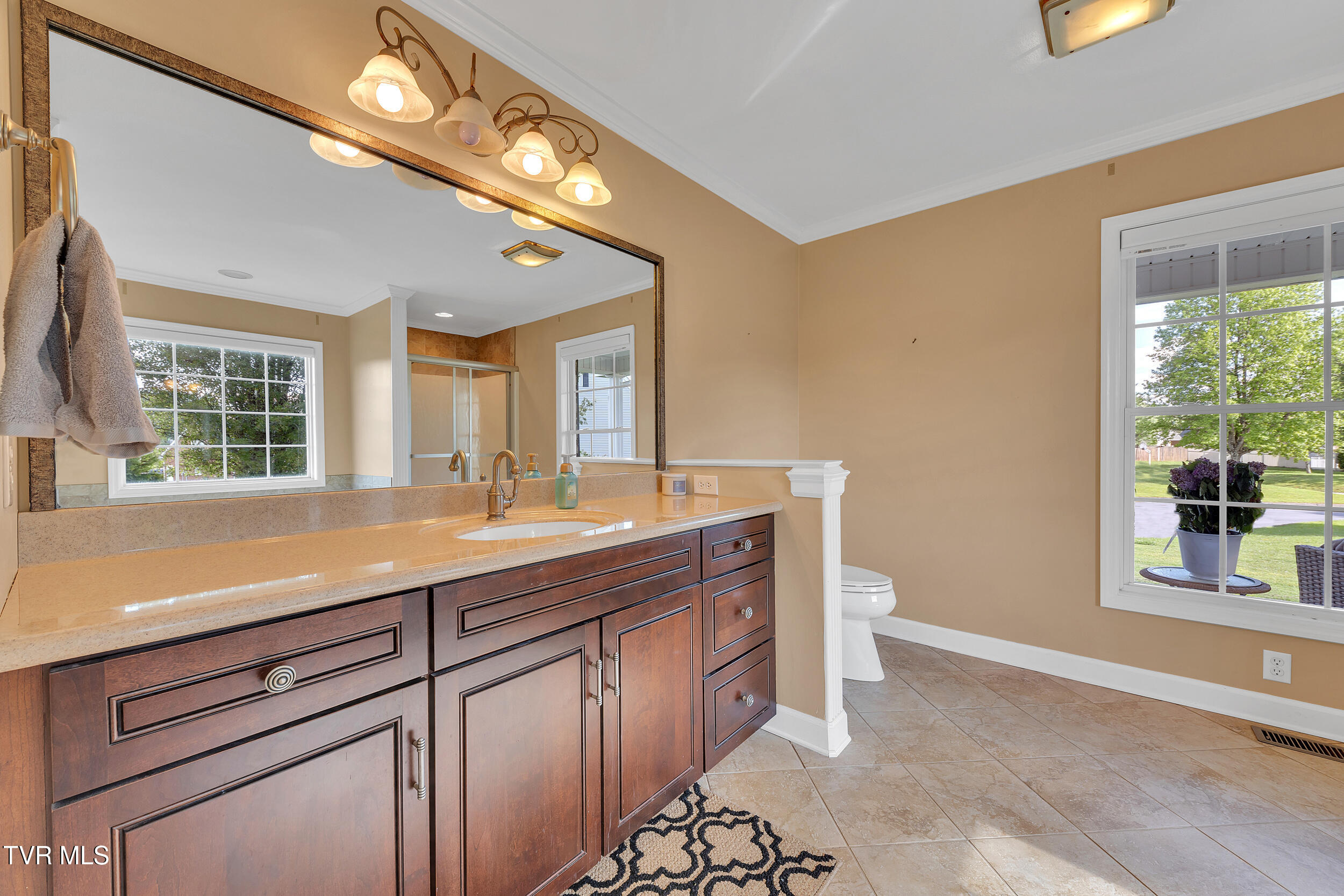 509 Amelia Court, Blountville, Tennessee image 28