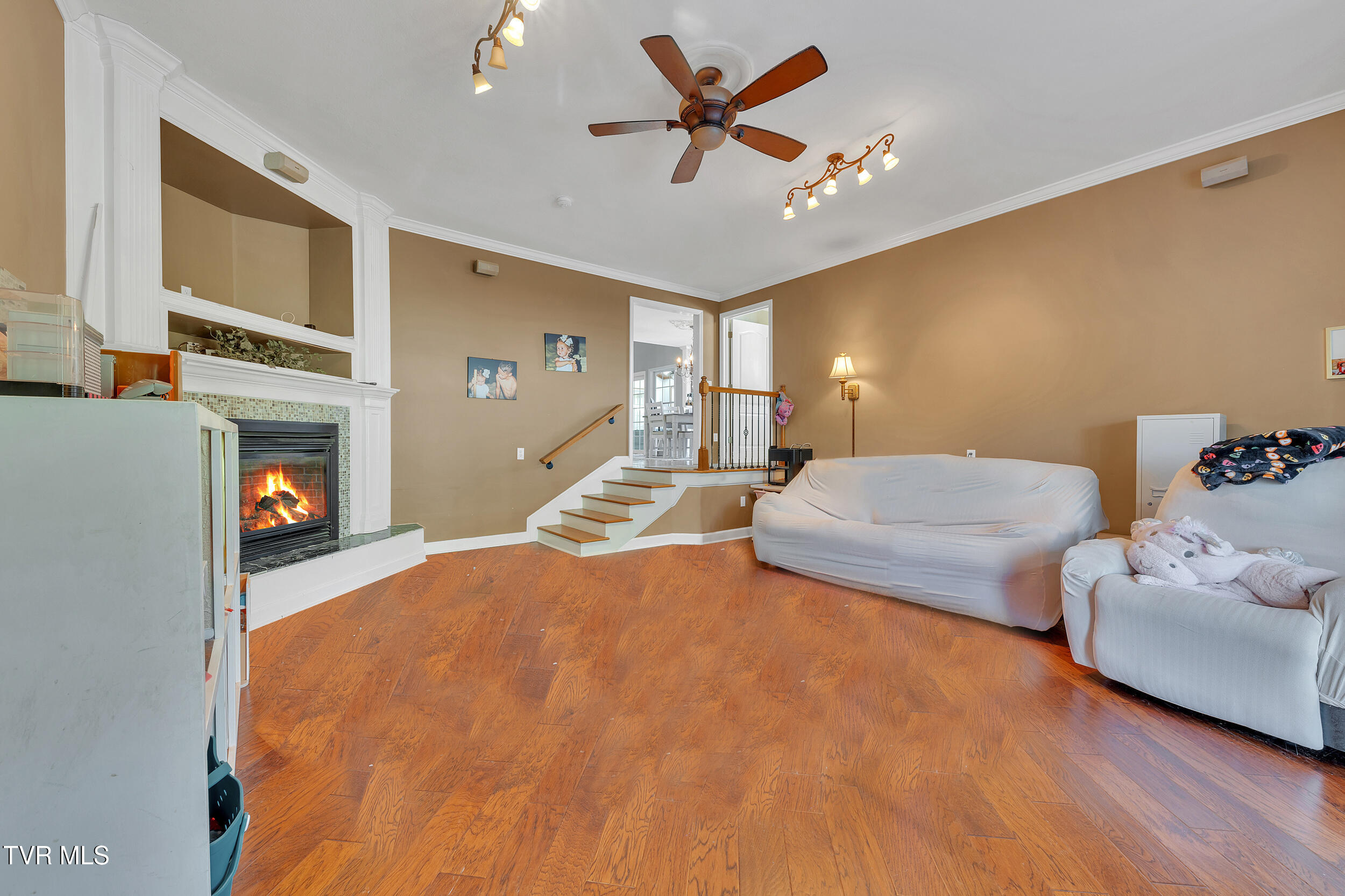 509 Amelia Court, Blountville, Tennessee image 25