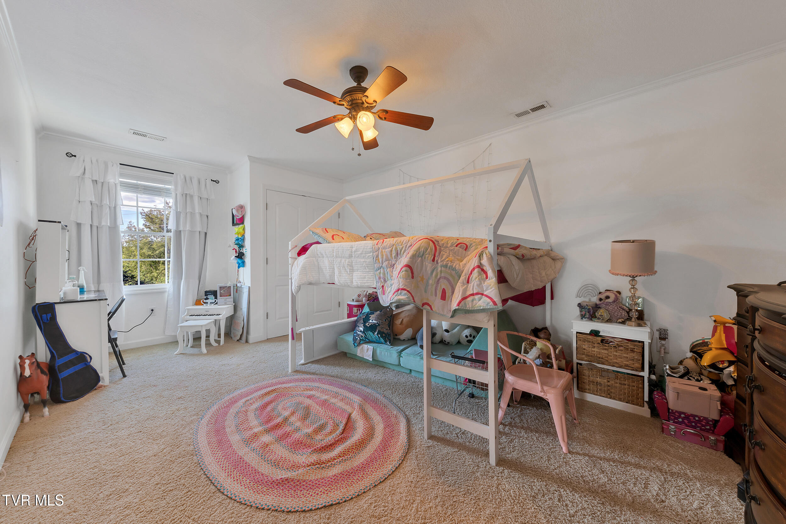 509 Amelia Court, Blountville, Tennessee image 32