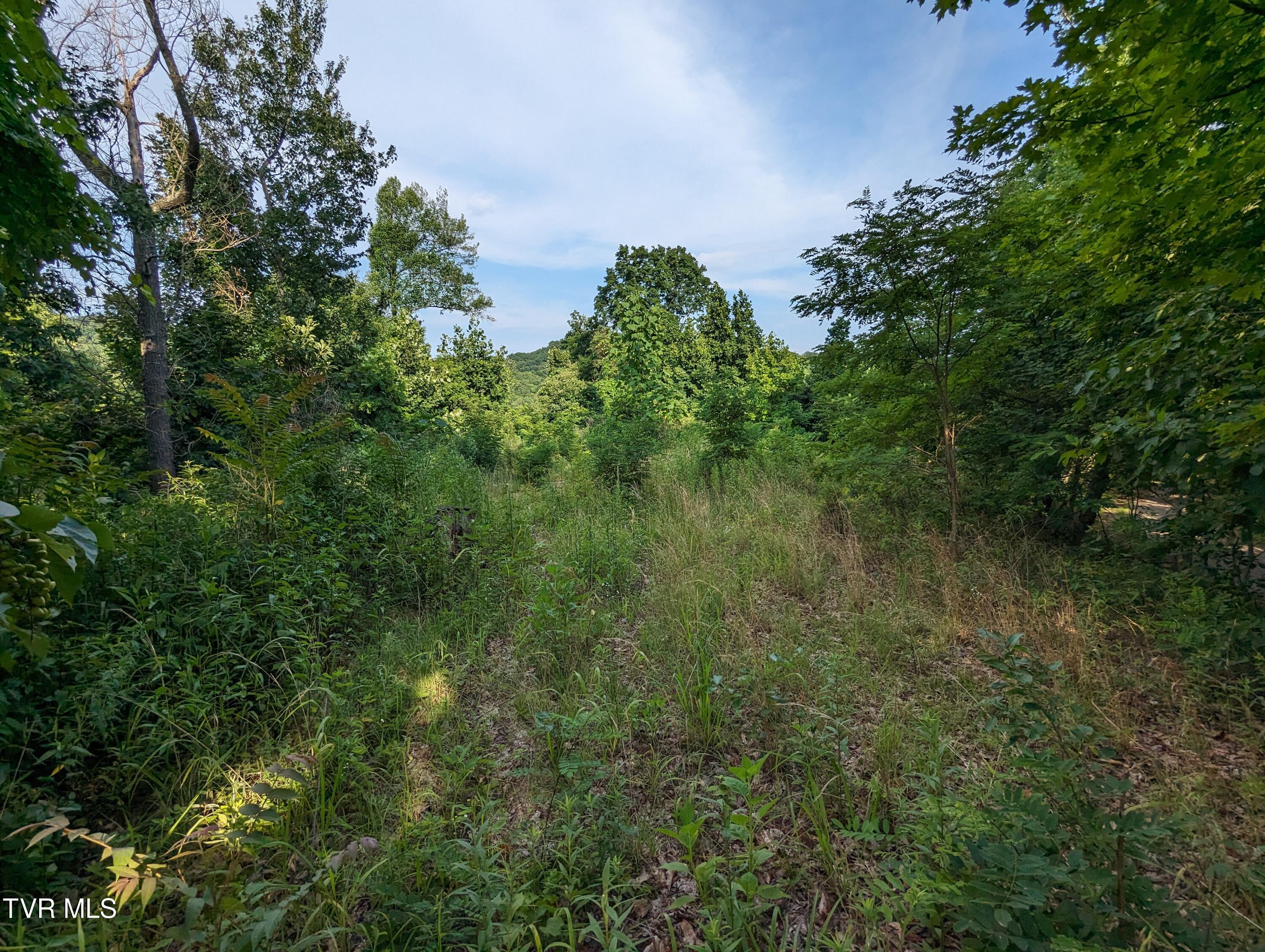 Tbd New Hurland Church Road, Hiltons, Virginia image 7