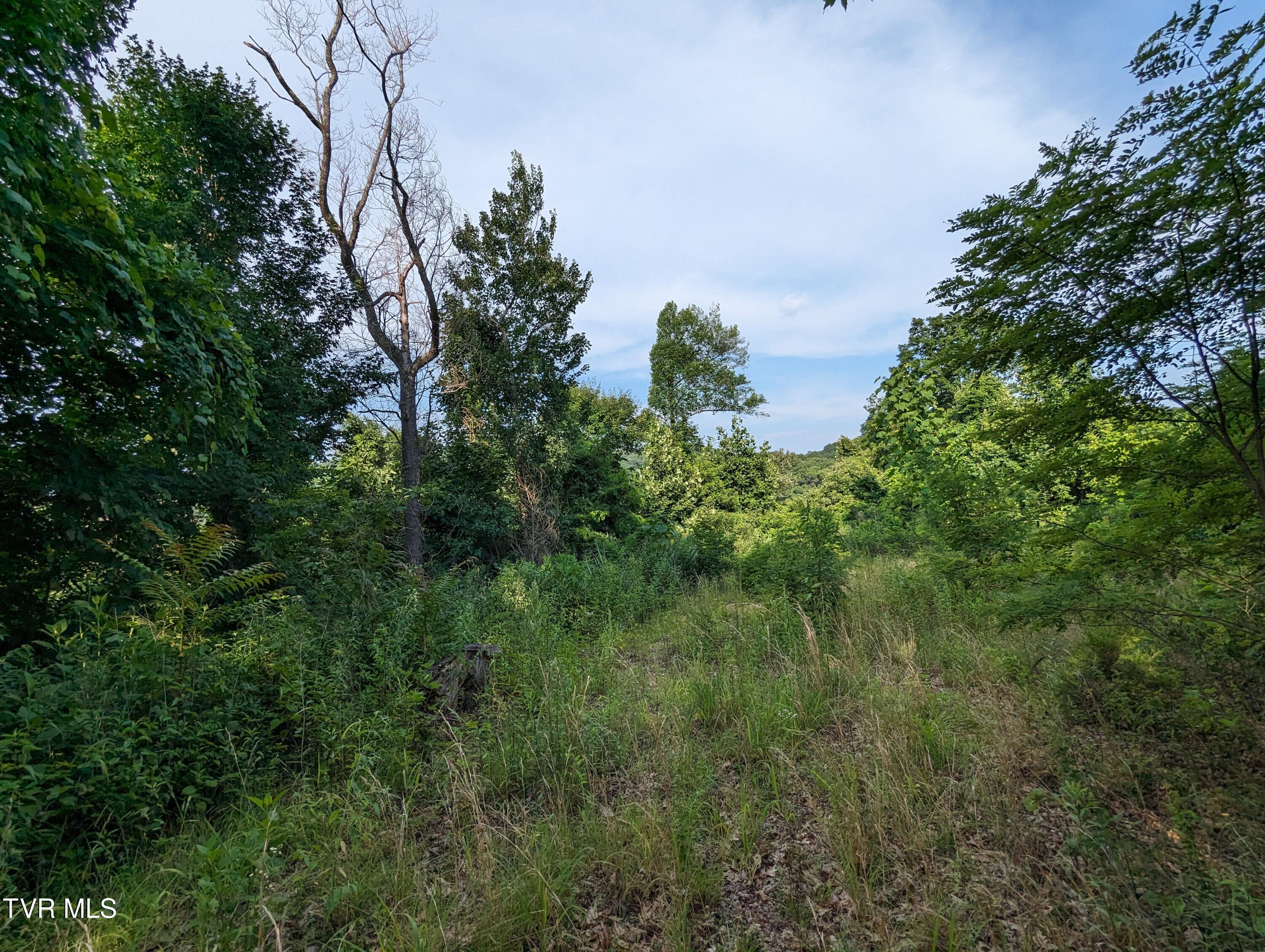 Tbd New Hurland Church Road, Hiltons, Virginia image 8