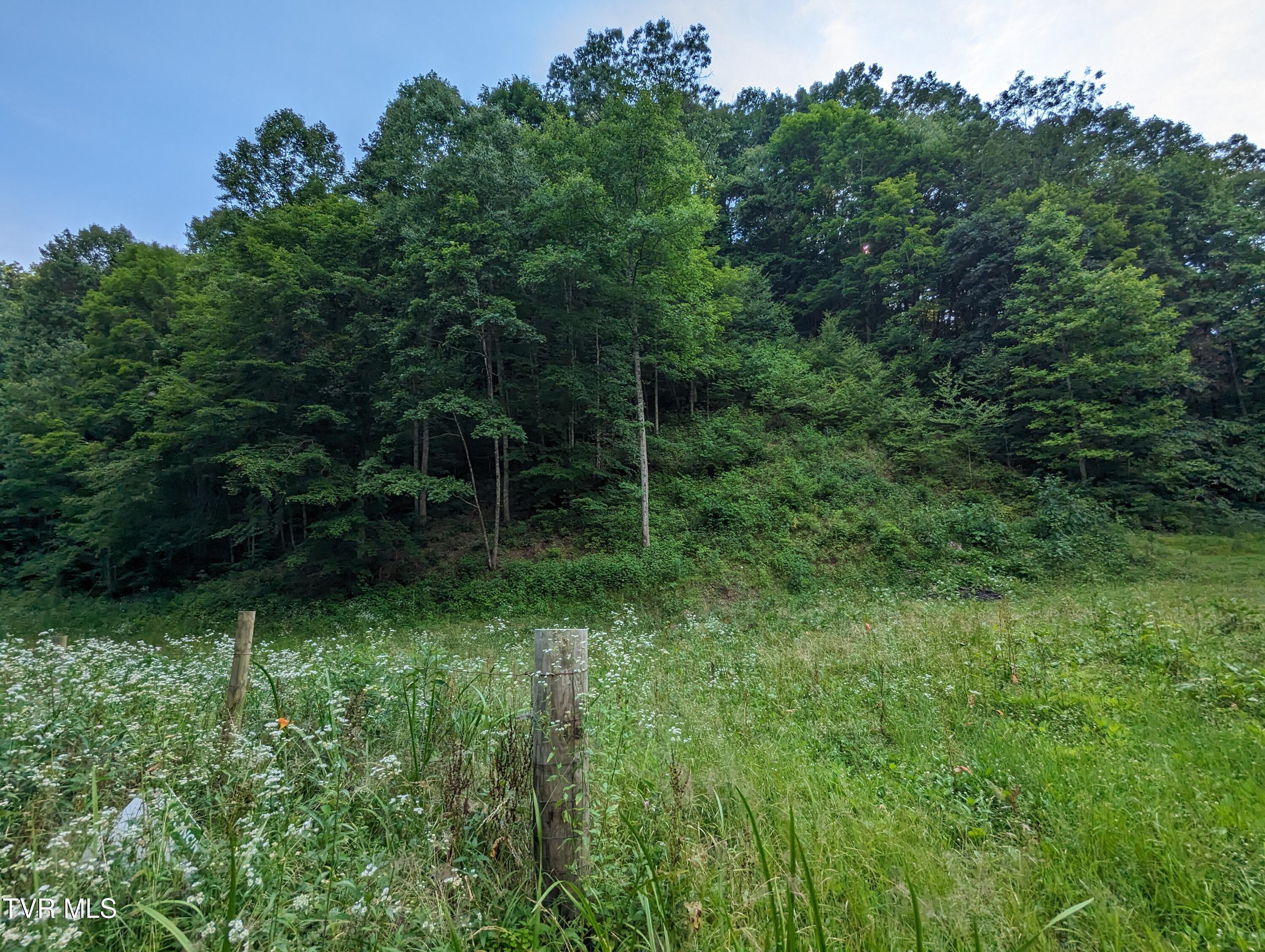 Tbd New Hurland Church Road, Hiltons, Virginia image 4