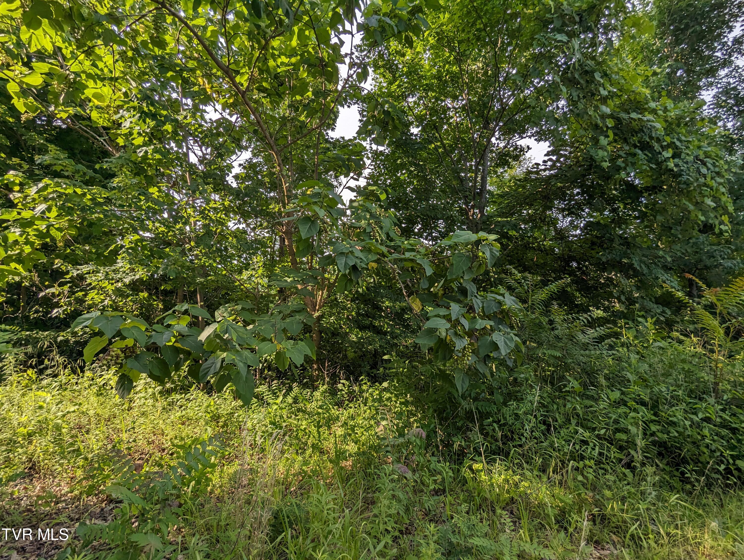 Tbd New Hurland Church Road, Hiltons, Virginia image 9
