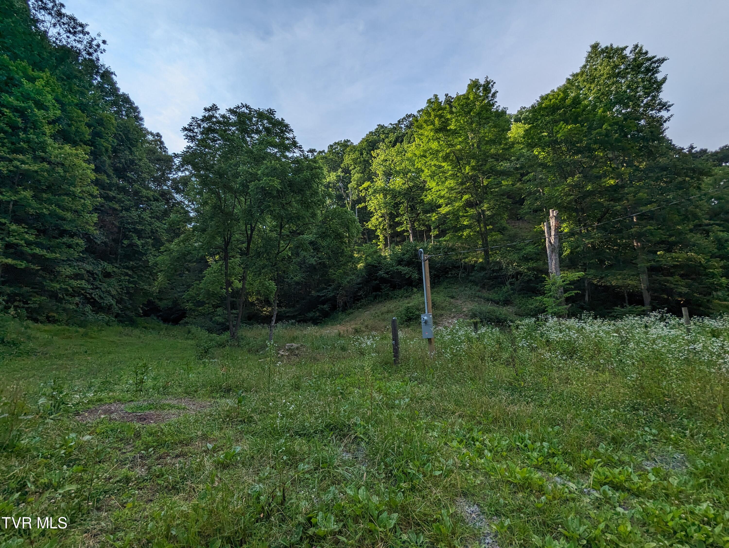 Tbd New Hurland Church Road, Hiltons, Virginia image 3