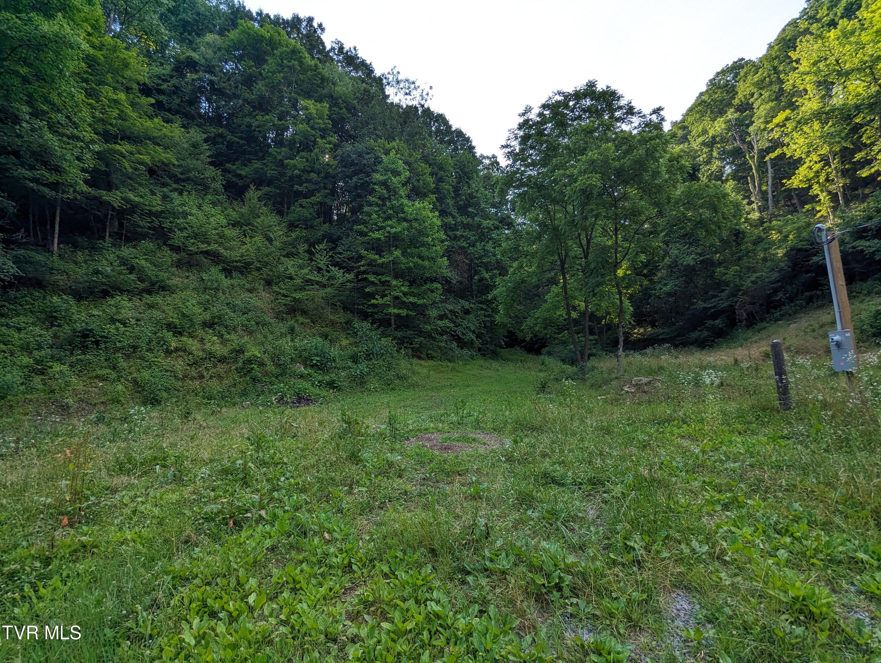 Tbd New Hurland Church Road, Hiltons, Virginia image 2