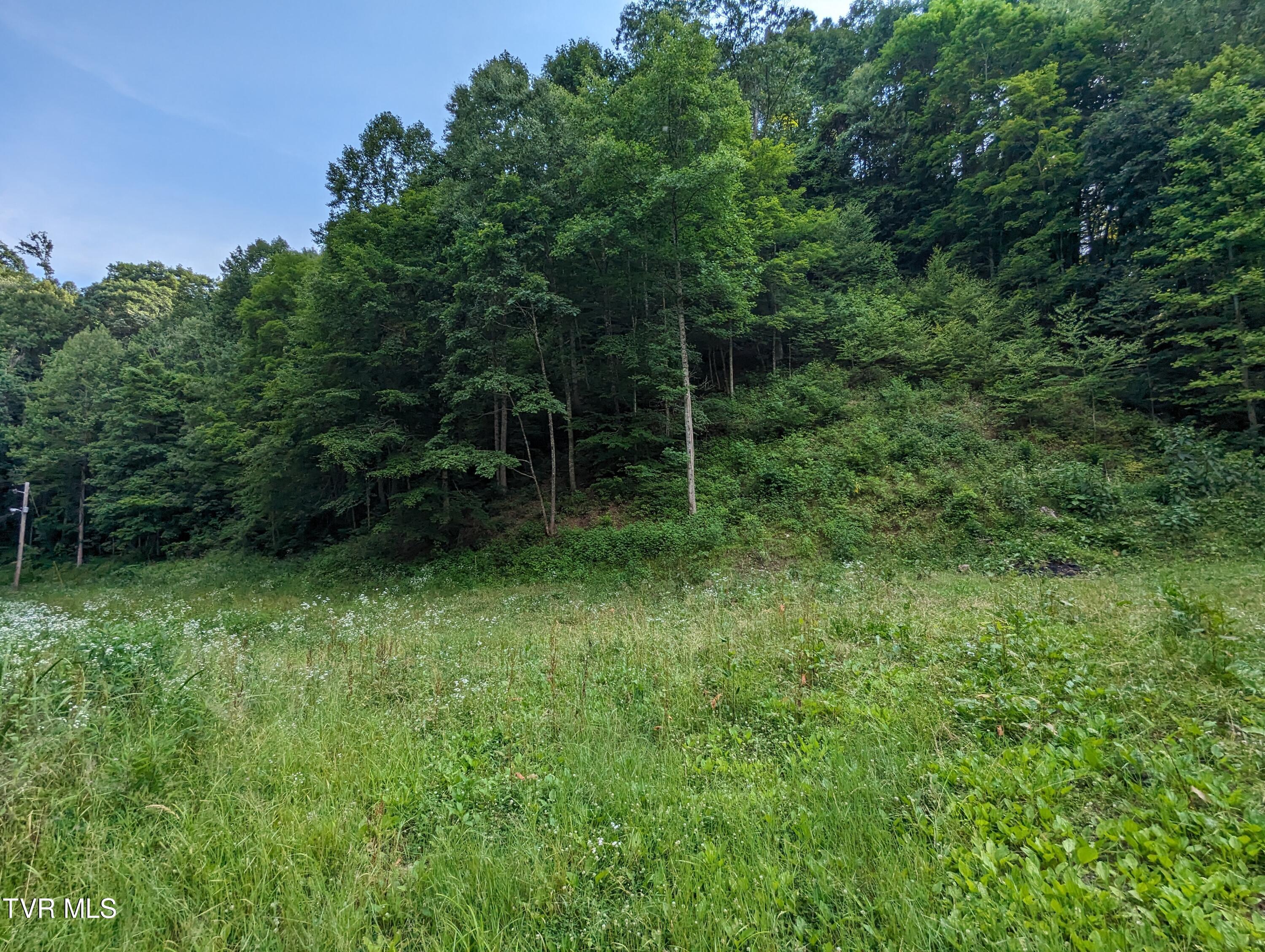 Tbd New Hurland Church Road, Hiltons, Virginia image 1