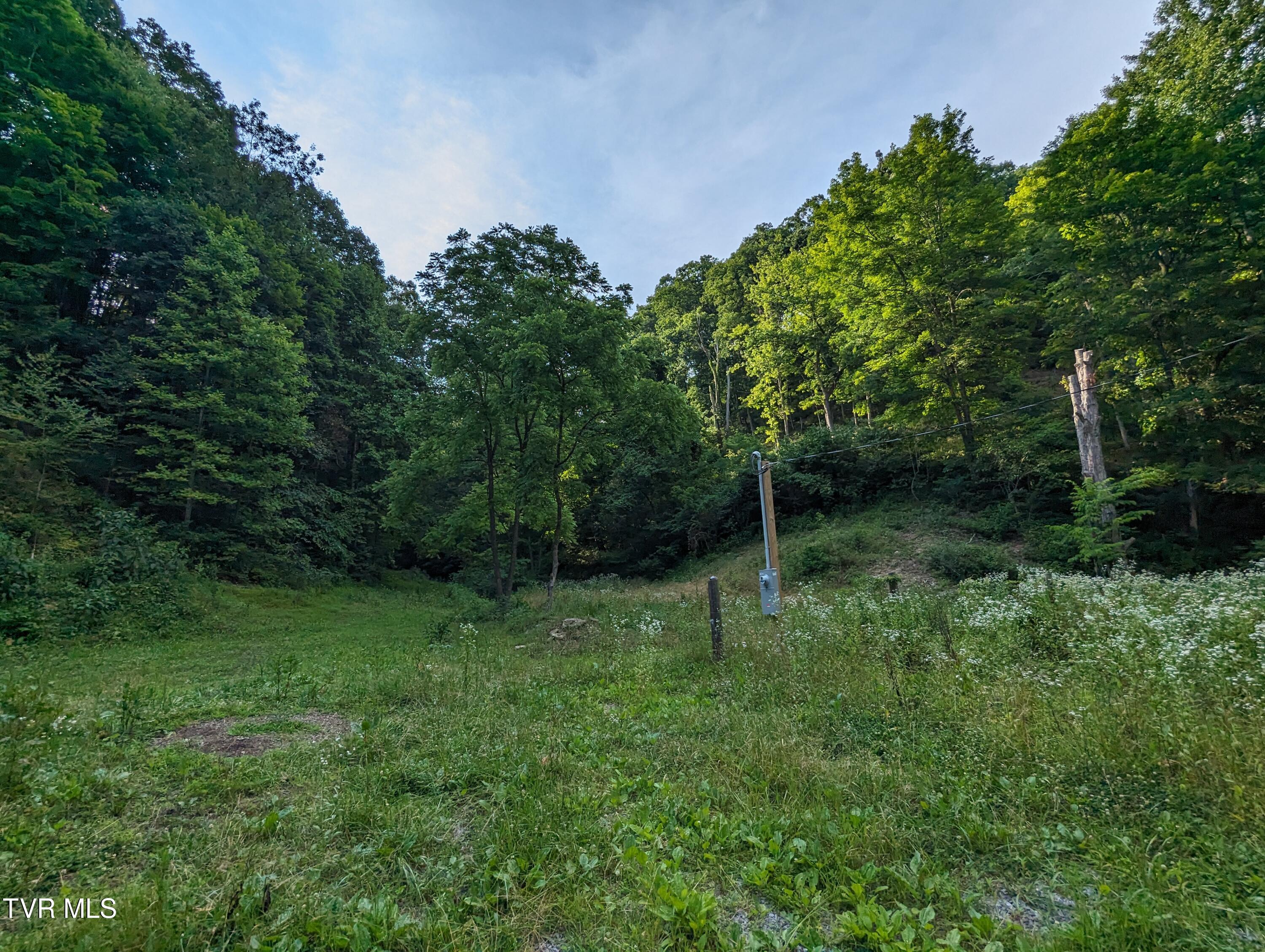 Tbd New Hurland Church Road, Hiltons, Virginia image 5