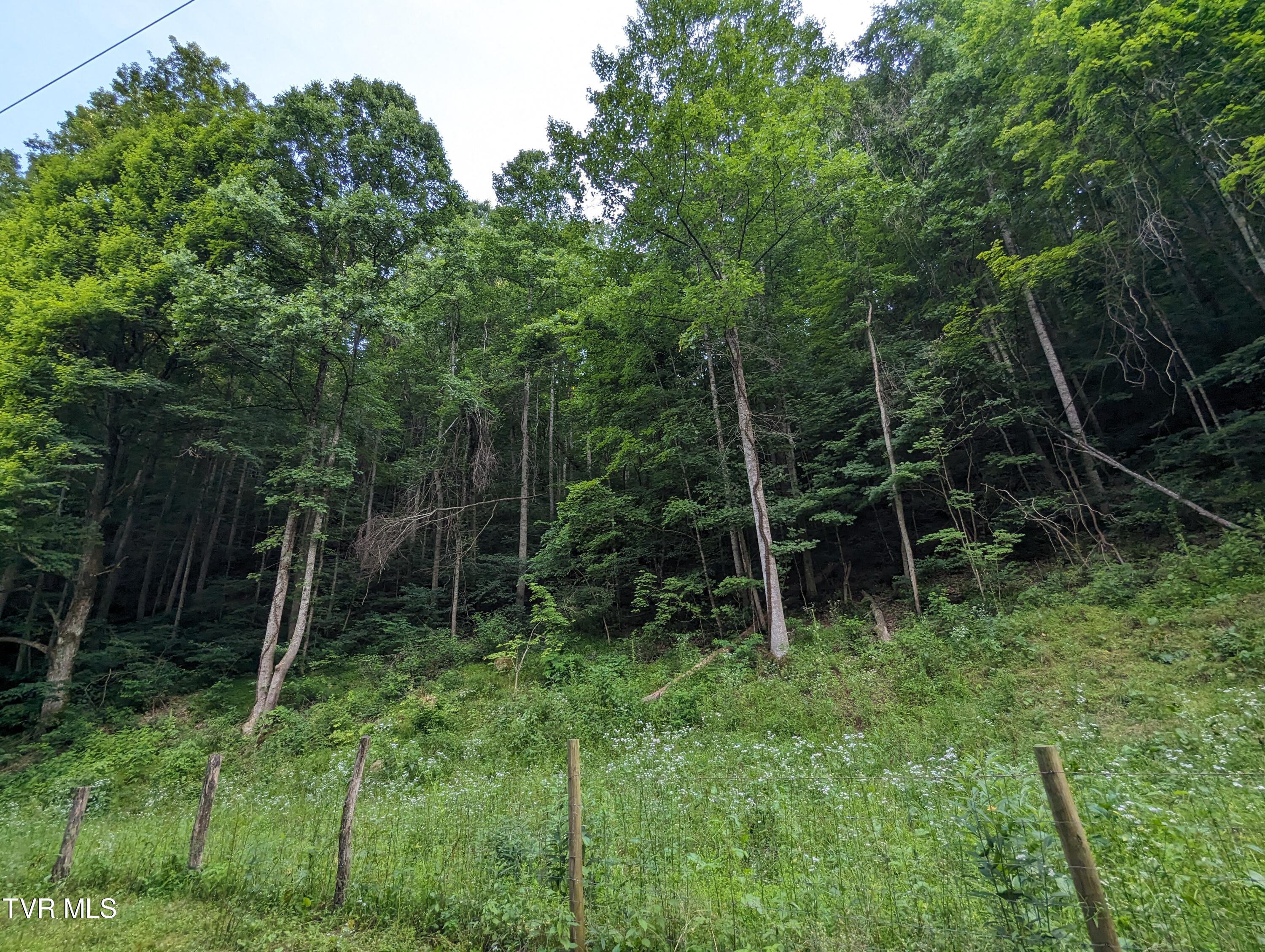 Tbd New Hurland Church Road, Hiltons, Virginia image 6