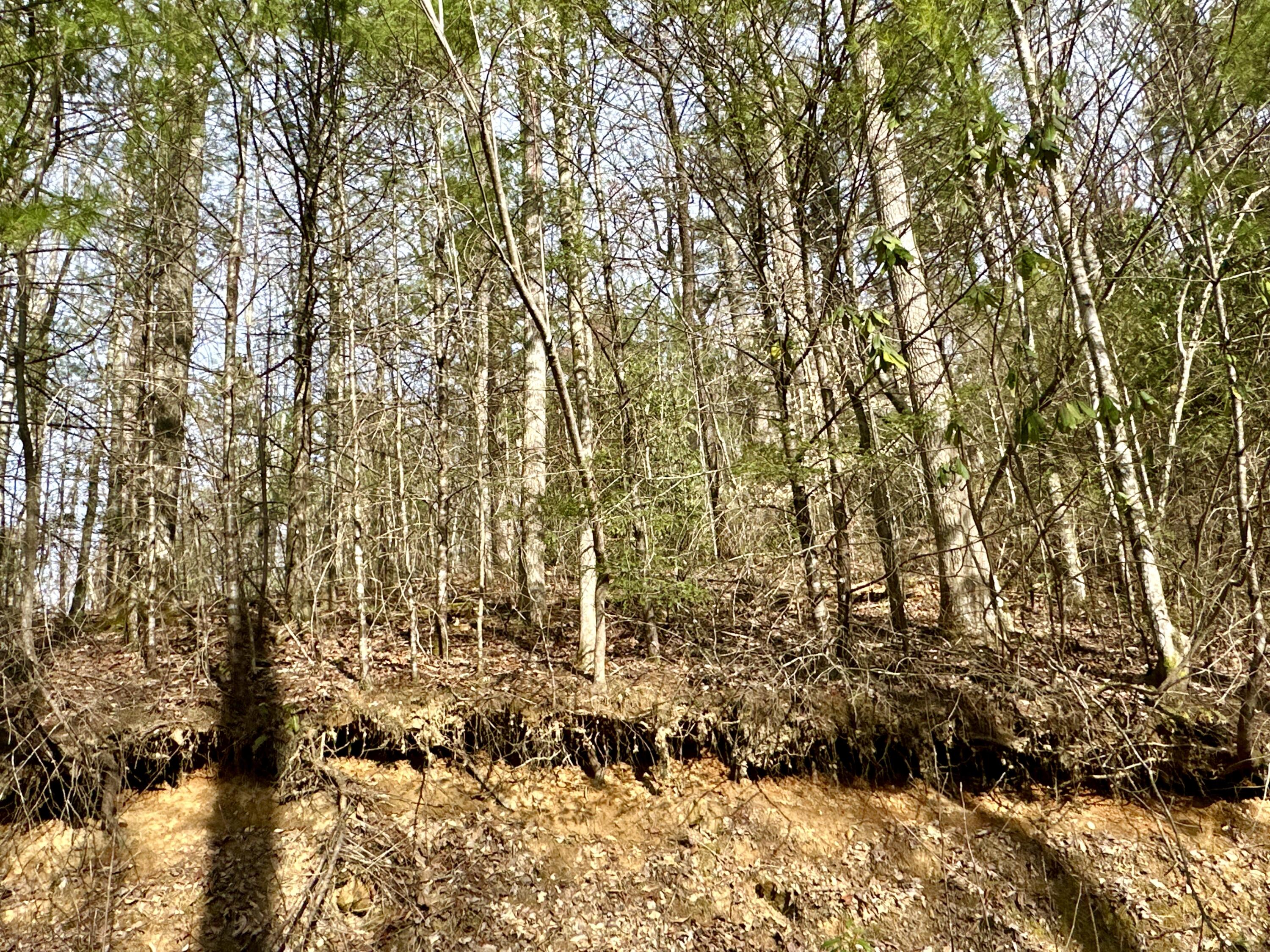 Lot 33 Smoke Rise Way, Del Rio, Tennessee image 4