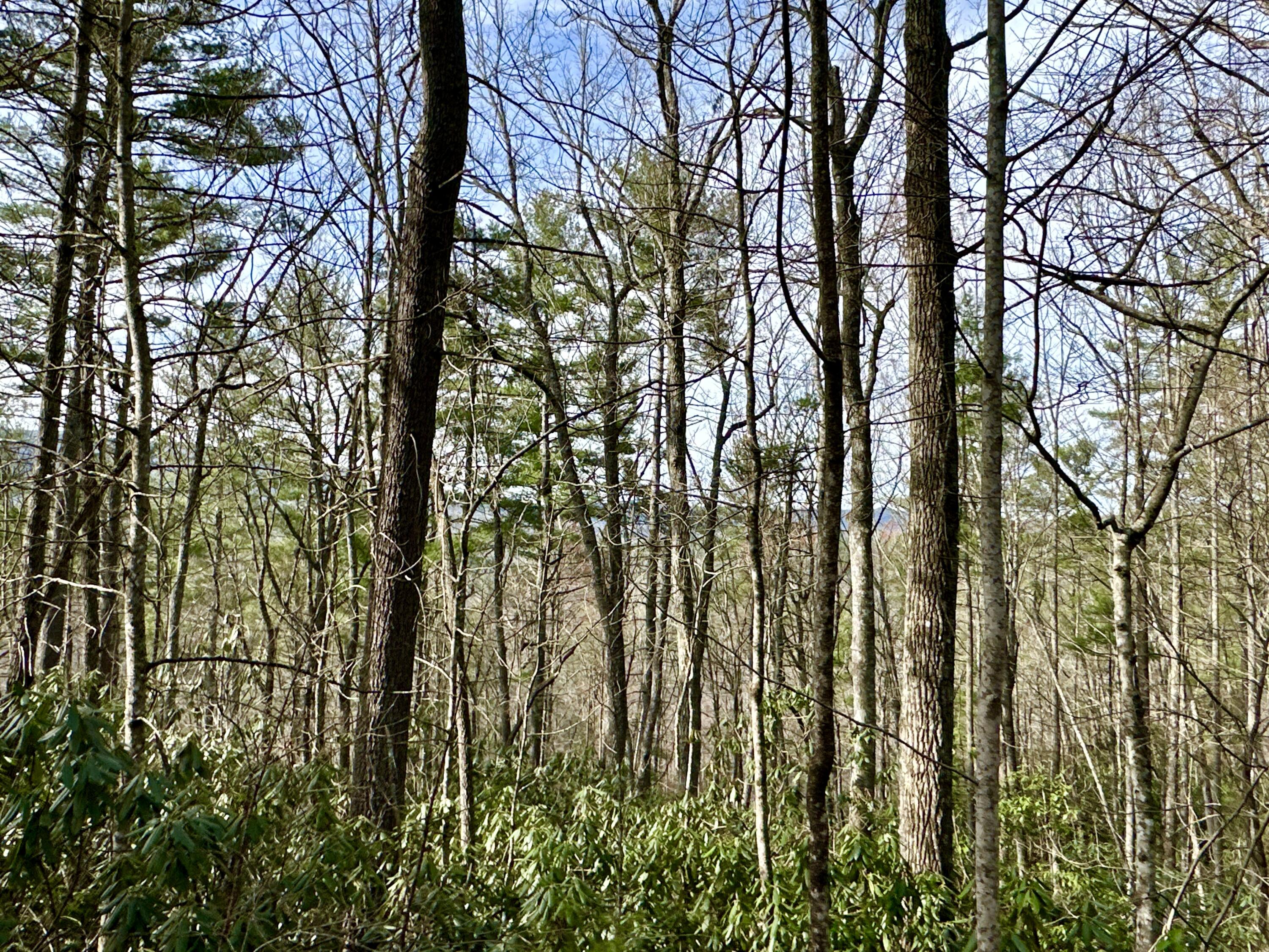 Lot 33 Smoke Rise Way, Del Rio, Tennessee image 2