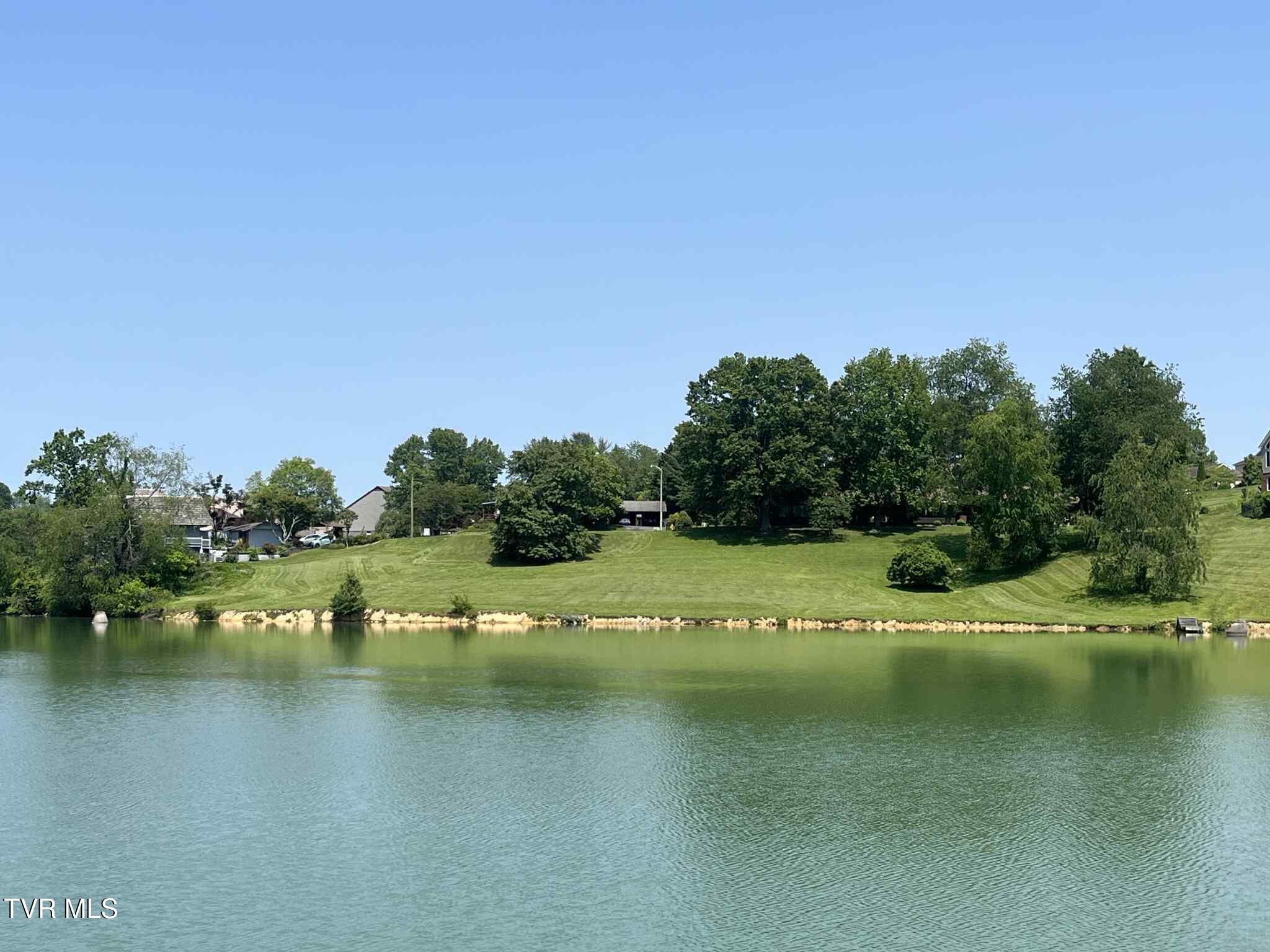 81 Wellington, Bristol, Tennessee image 1