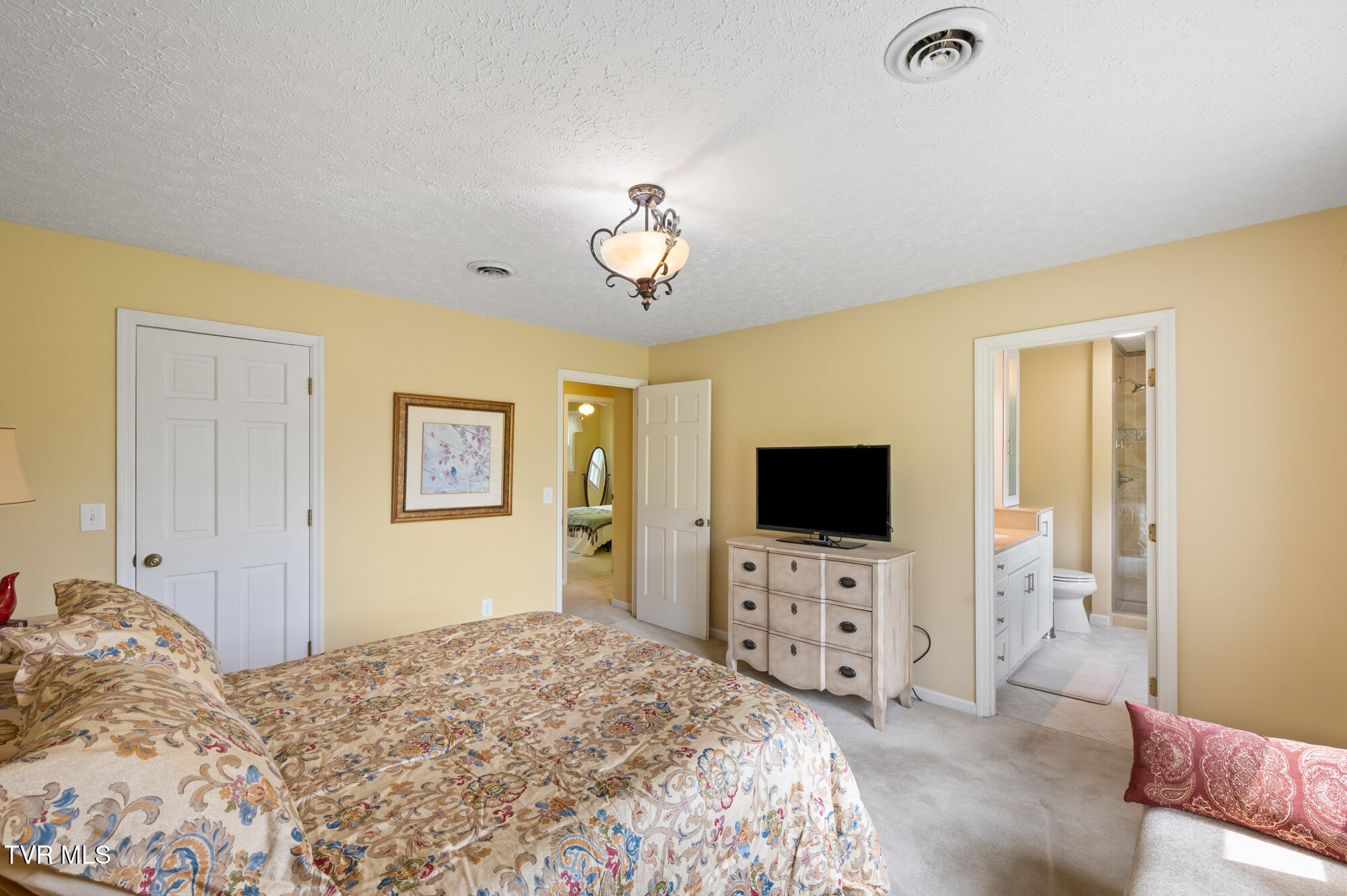 405 Meadow Lark Lane, Bluff City, Tennessee image 48