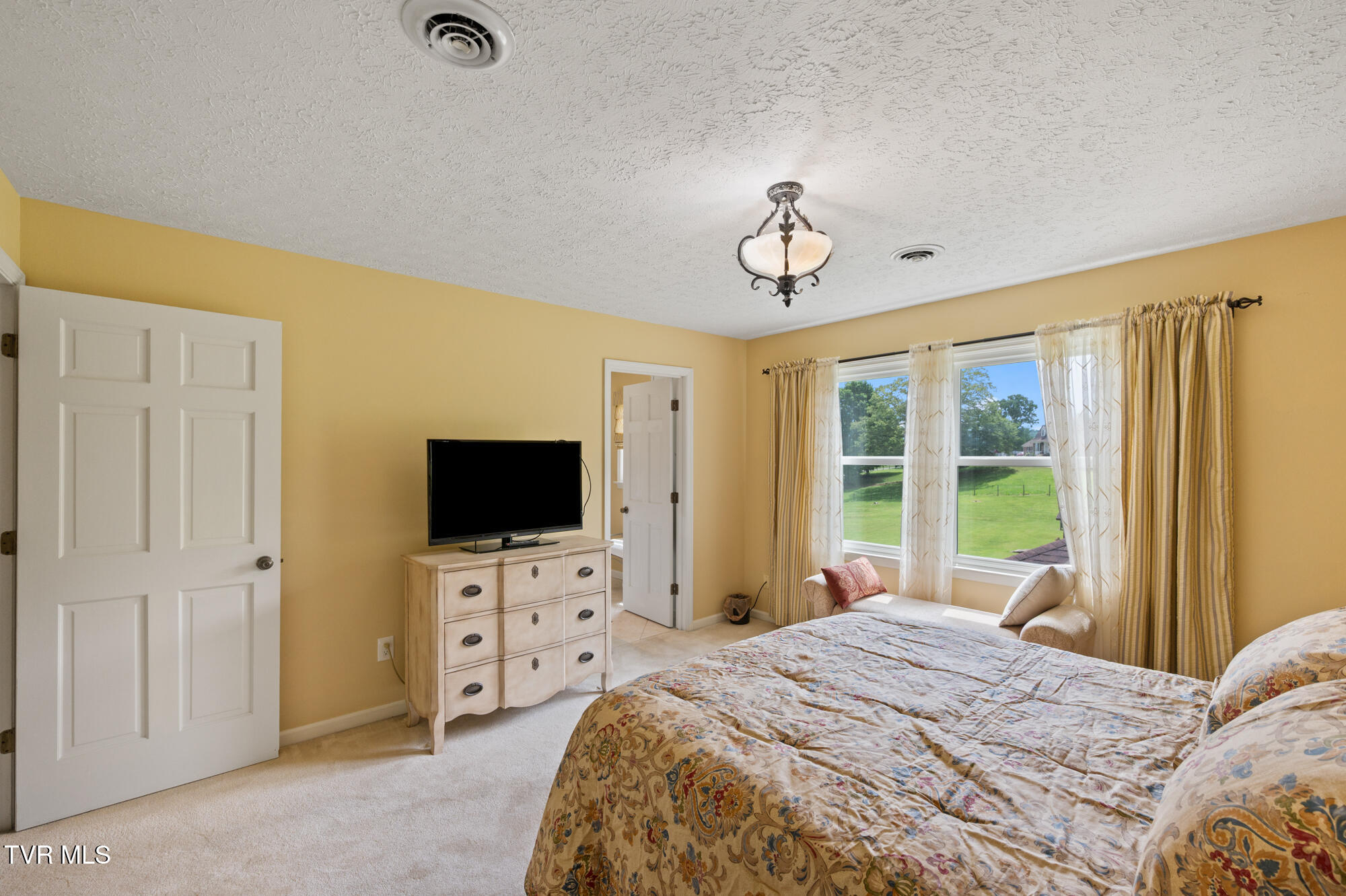 405 Meadow Lark Lane, Bluff City, Tennessee image 47