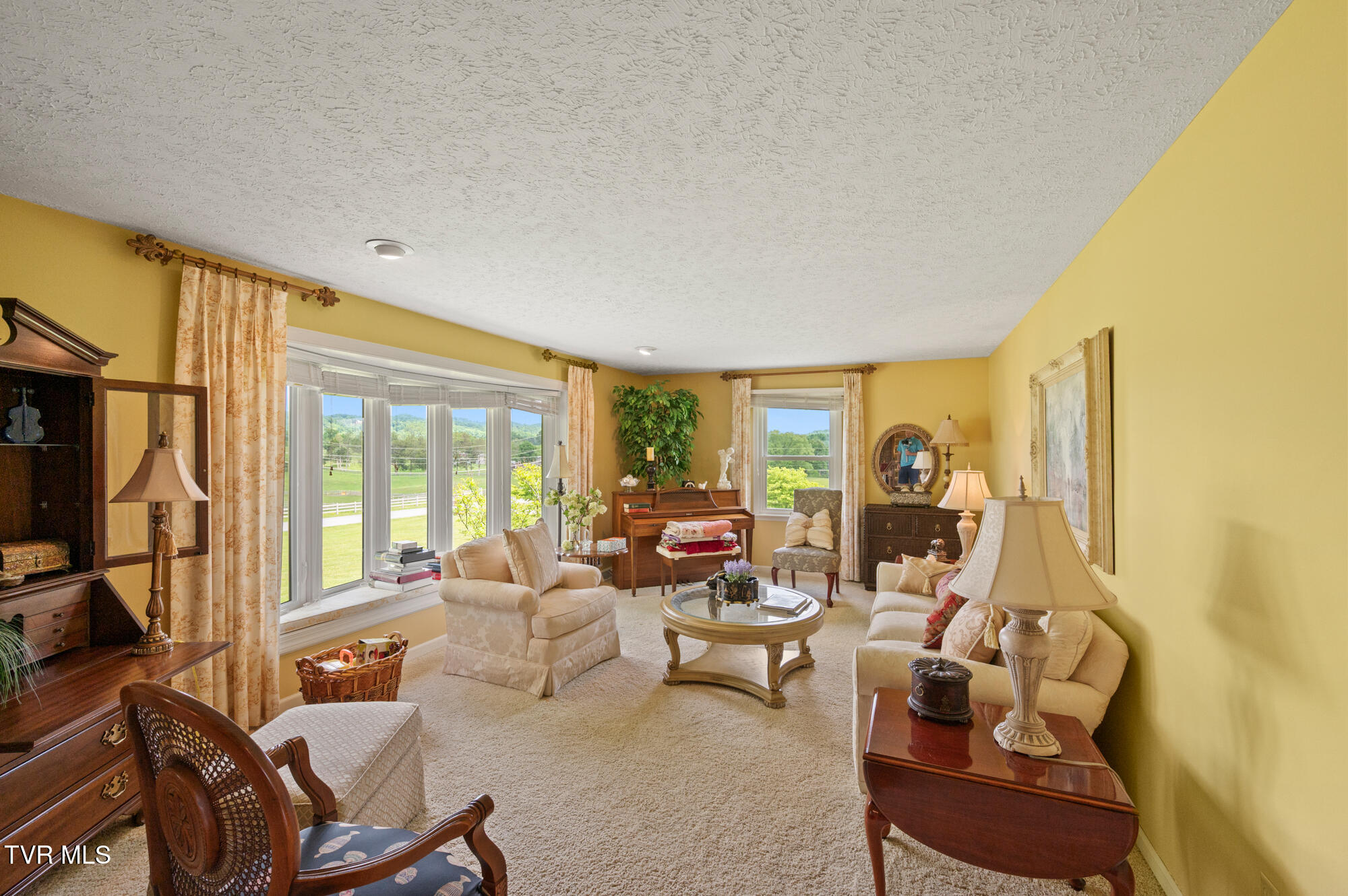 405 Meadow Lark Lane, Bluff City, Tennessee image 28