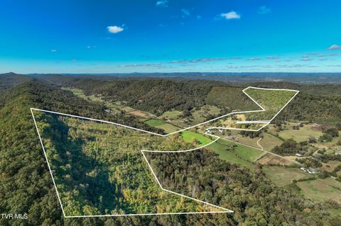 3546 Goshen Valley Road Rogersville TN 37857