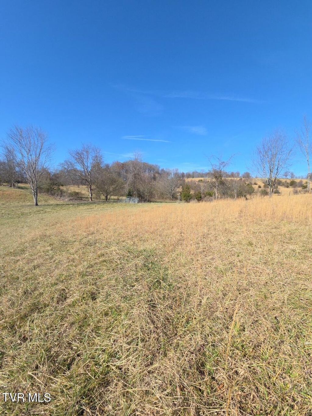 Photo of 2570 Shiloh Road #1, Greeneville, TN 37745 (MLS # 9989464)