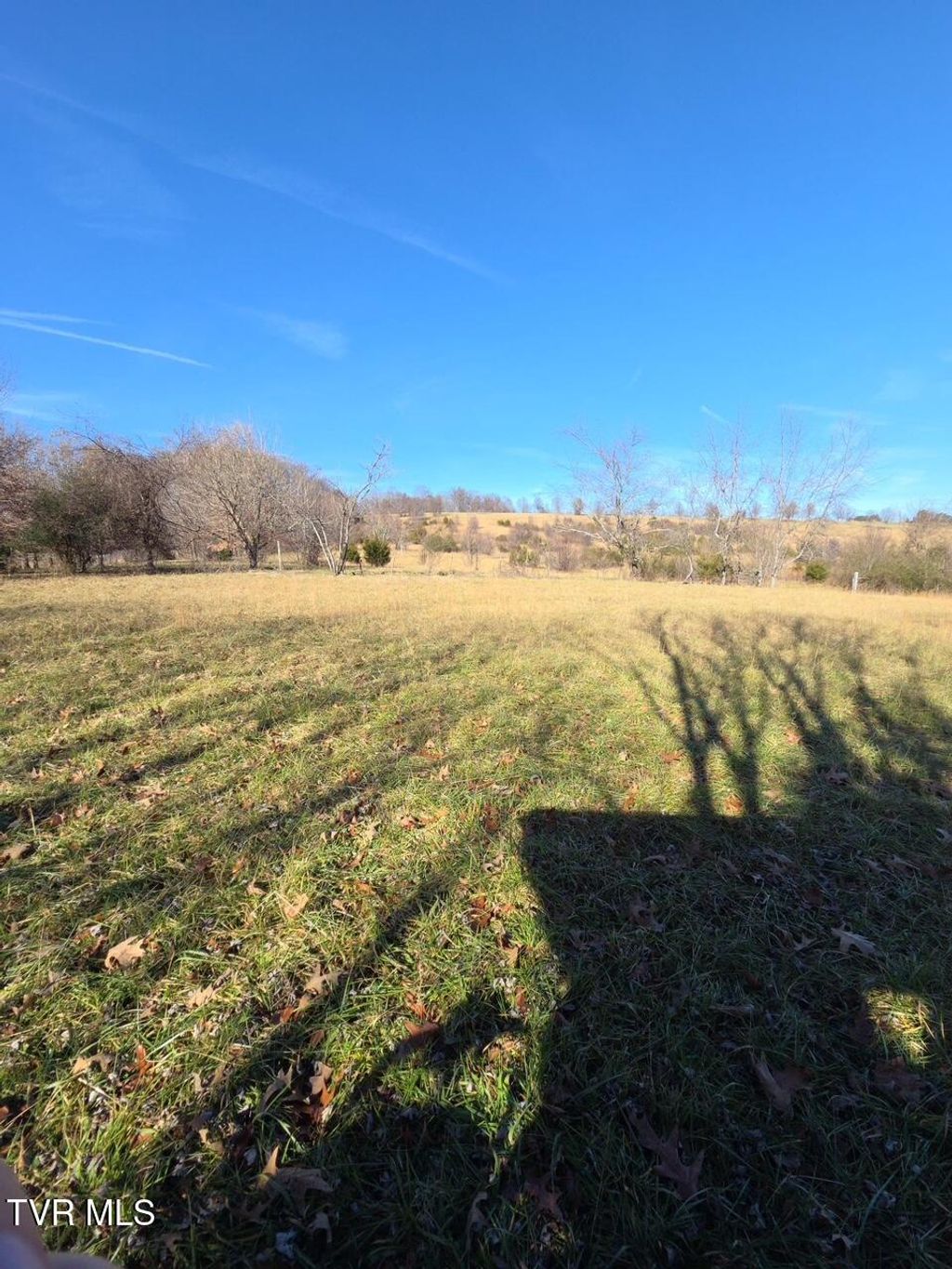 Photo of 2570 Shiloh Road #1, Greeneville, TN 37745 (MLS # 9989464)