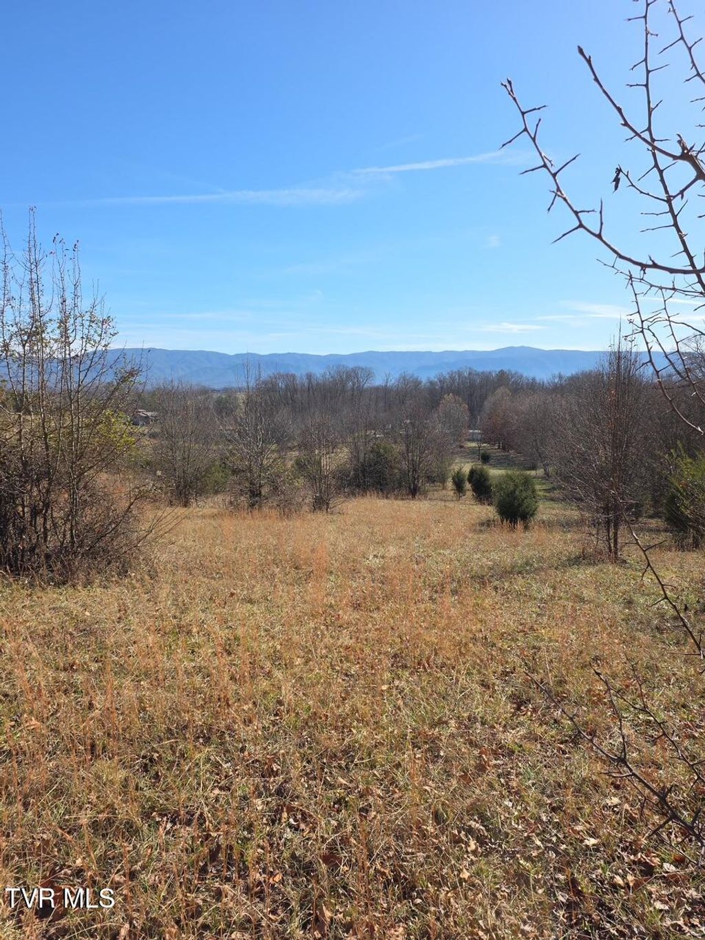 Photo of 2570 Shiloh Road #1, Greeneville, TN 37745 (MLS # 9989464)