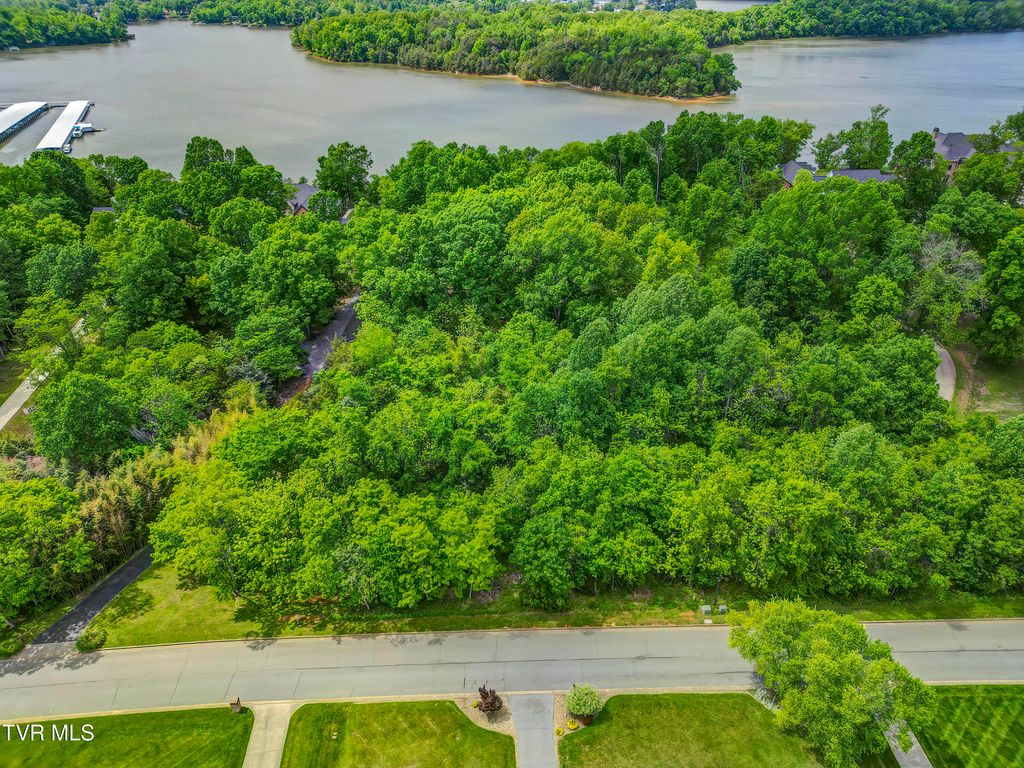 Photo of 612 Harbor Point Drive, Johnson City, TN 37615 (MLS # 9980277)