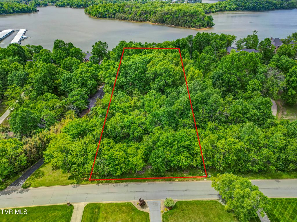 Photo of 612 Harbor Point Drive, Johnson City, TN 37615 (MLS # 9980277)