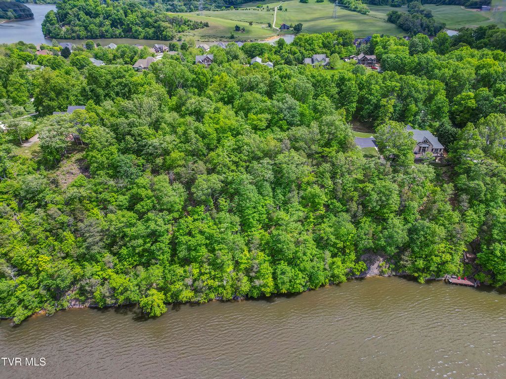 Photo of 612 Harbor Point Drive, Johnson City, TN 37615 (MLS # 9980277)